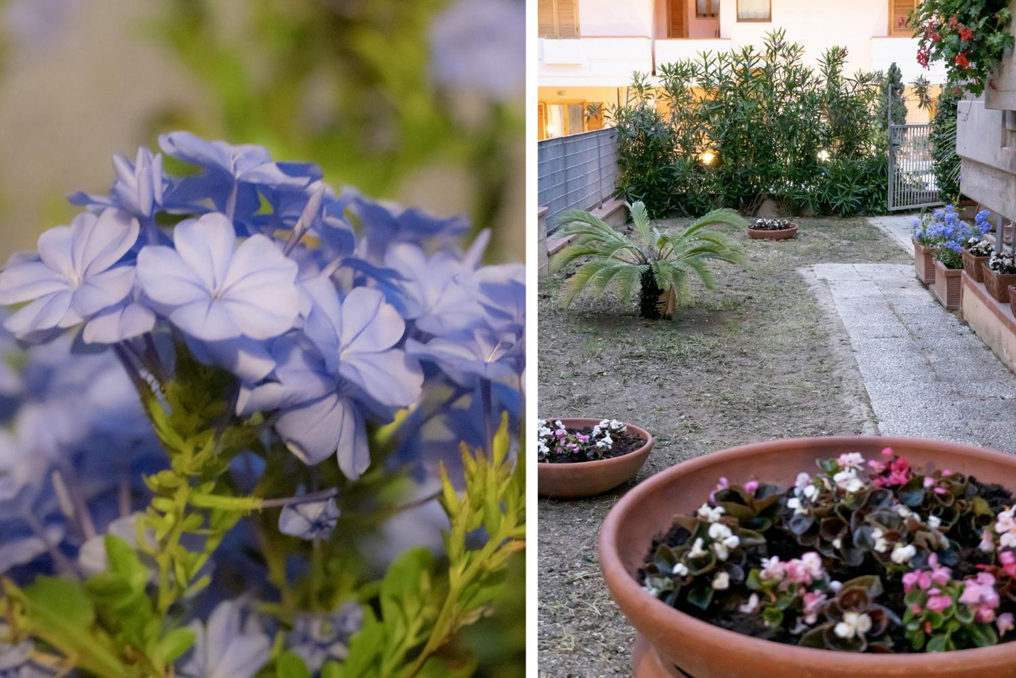 Apartamento Il Giardino Civitanova Marche Exterior foto